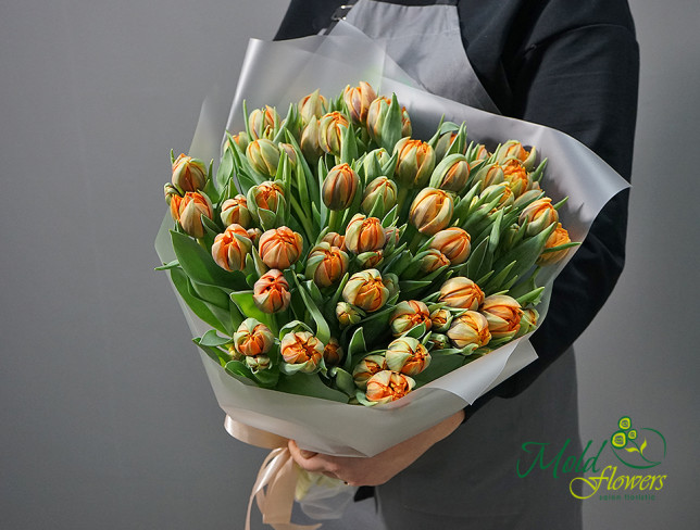 Голландские тюльпаны пионовидные оранжевые Фото